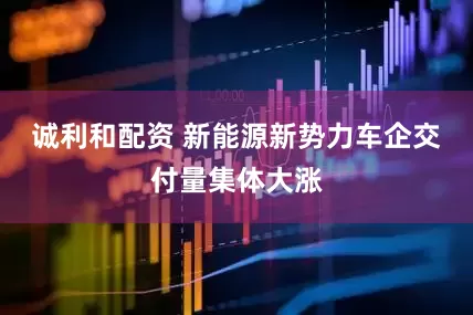 诚利和配资 新能源新势力车企交付量集体大涨