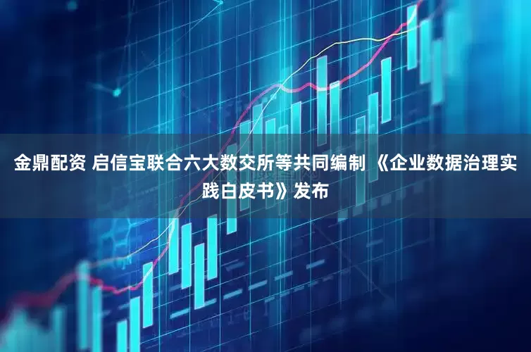 金鼎配资 启信宝联合六大数交所等共同编制 《企业数据治理实践白皮书》发布