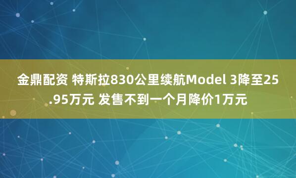 金鼎配资 特斯拉830公里续航Model 3降至25.95万元 发售不到一个月降价1万元